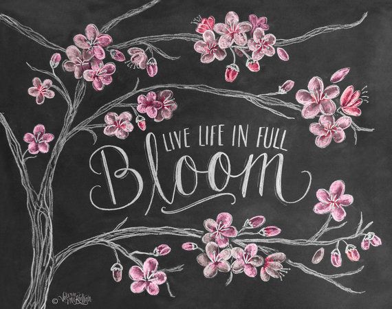 The Inspiration for Our Cherry Blossom Blog