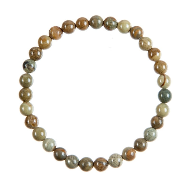A close-up of a silver leaf jasper stretch style bracelet made with 6mm round jasper beads in shades of brown, green, and beige; strung on a clear stretch cord, displayed on a white background.